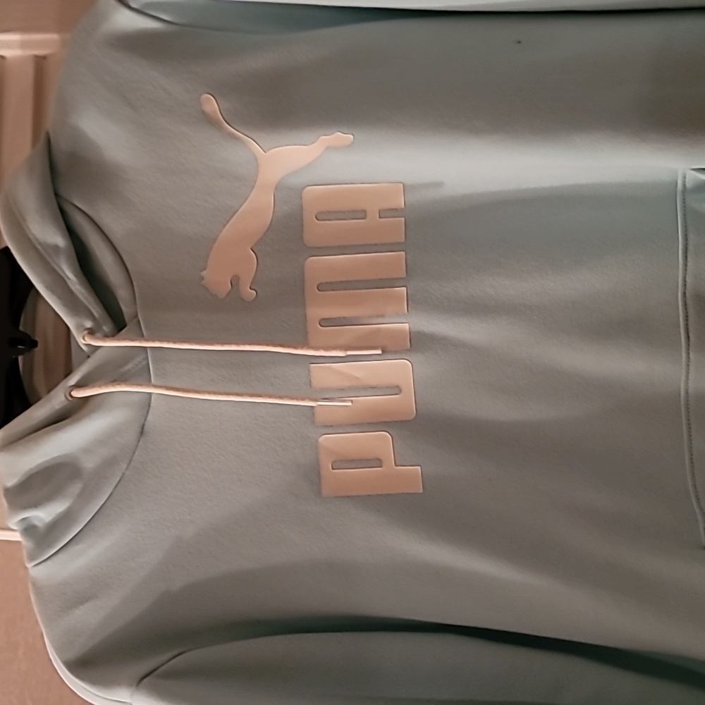 Blue puma hoodie